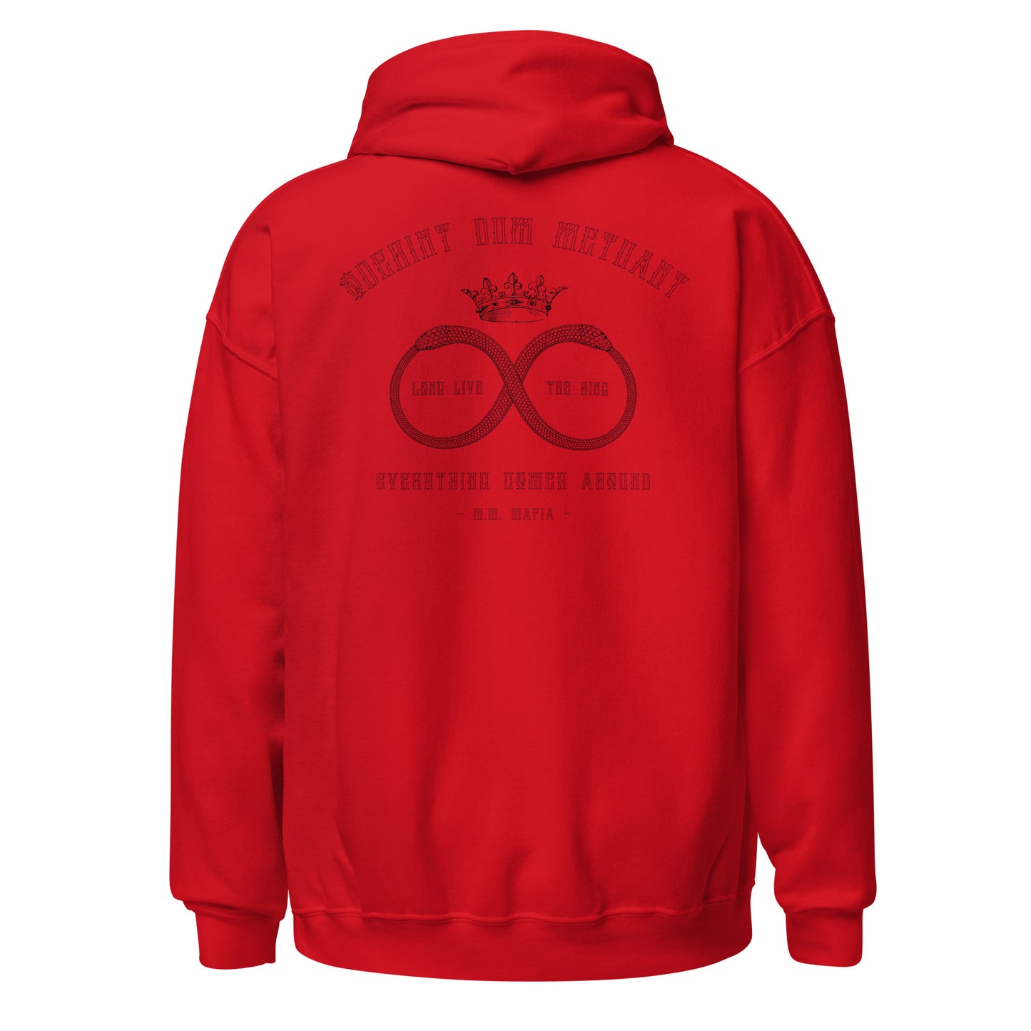 The Ouroboros (Black) - Unisex Hoodie